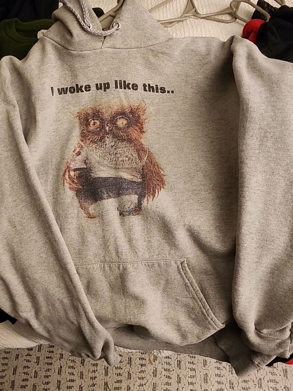Gray Hoodie with 'I Woke Up Like This' Owl Graphic
